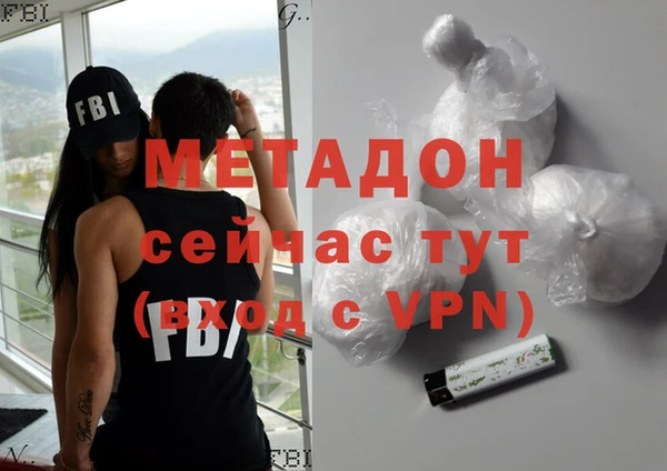 хмурый Пересвет