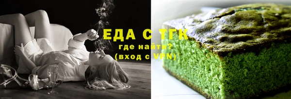 хмурый Пересвет