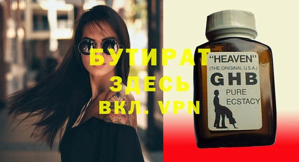 хмурый Пересвет