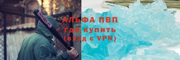 хмурый Пересвет
