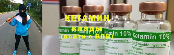 хмурый Пересвет