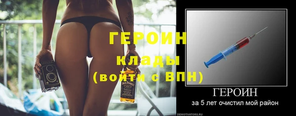 хмурый Пересвет