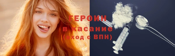 хмурый Пересвет