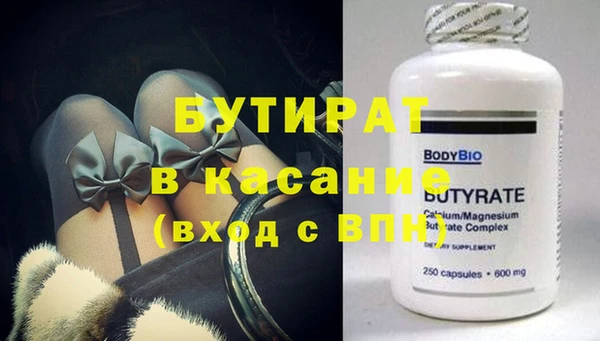 хмурый Пересвет