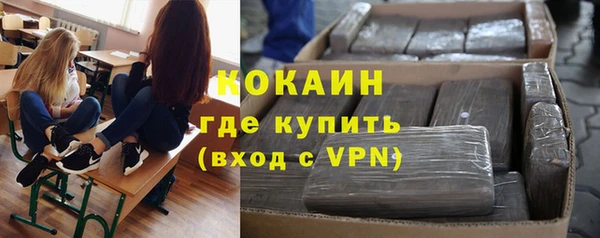 хмурый Пересвет