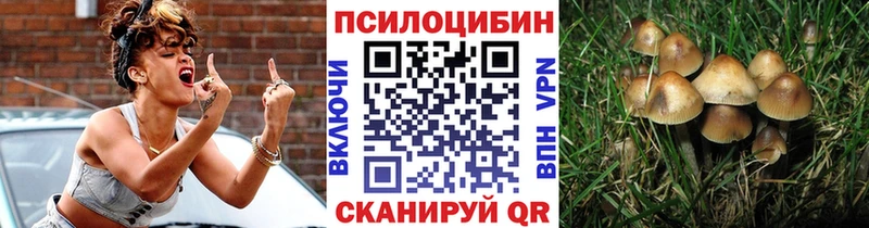 Псилоцибиновые грибы GOLDEN TEACHER  как найти закладки  Печоры 